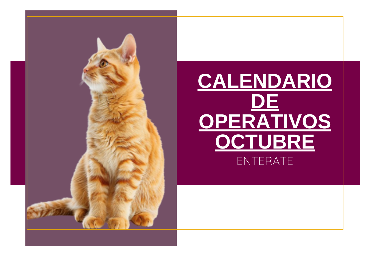 Calendario de Octubre 2024