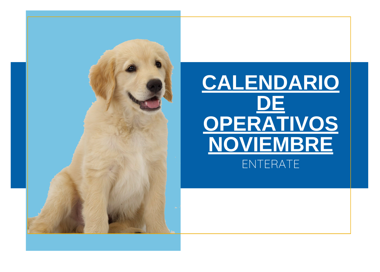 Calendario de Noviembre 2024